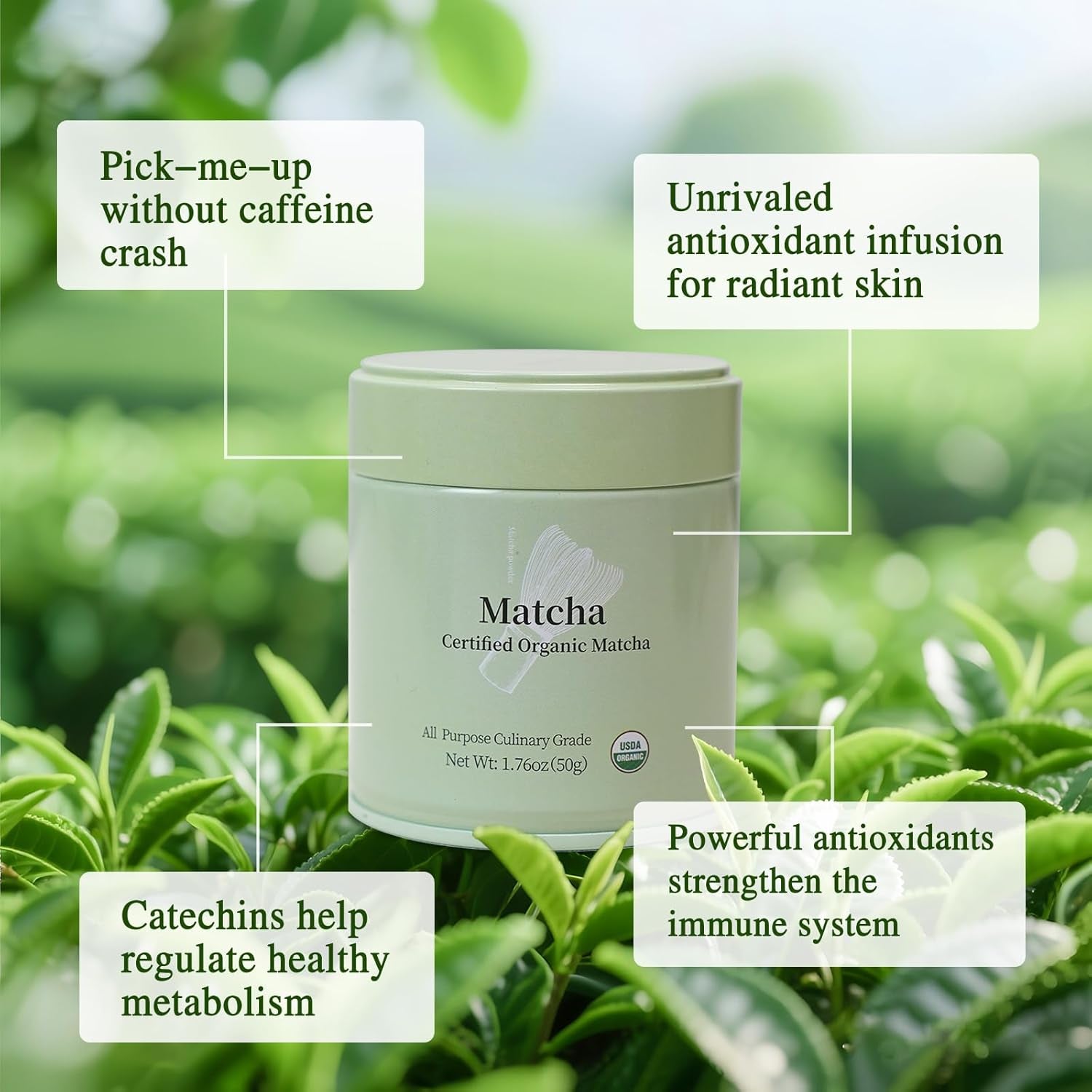 Premium First Harvest USDA Certified Organic Green Tea Matcha Powder, Rich Flavor, 100% Vegan with No Fillers, Radiation-Free (50G Culinary Grade Matcha)