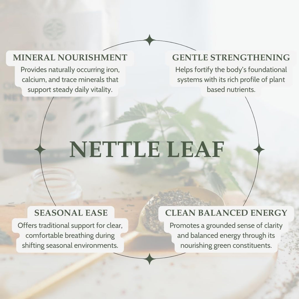 Organic Stinging Nettle 4 Oz. (113G), USDA Certified Organic Nettle Leaf Tea, Ortiga, Stinging Nettles Leaf, Cut & Sifted
