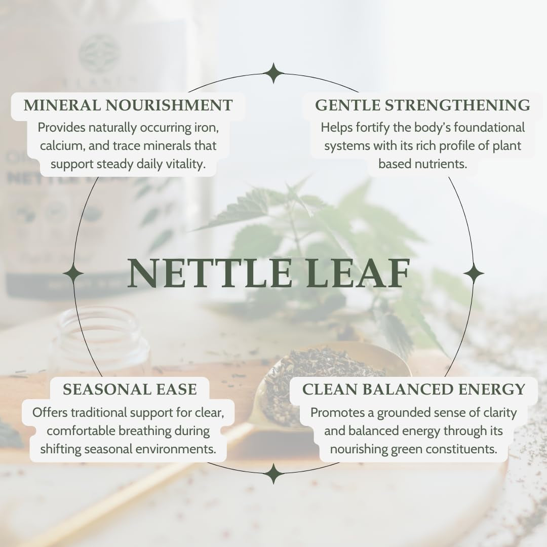 Organic Stinging Nettle 4 Oz. (113G), USDA Certified Organic Nettle Leaf Tea, Ortiga, Stinging Nettles Leaf, Cut & Sifted
